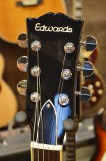 Edwards E-SA-STD LPB_8