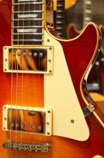 Edwards E-LP-STD CHS_3