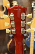 Edwards E-LP-STD CHS_8