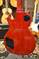 Edwards E-LP-STD CHS_9