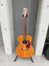 Martin OOO-1 FISHMANピックアップ_2