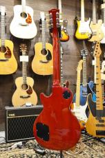 Edwards E-LP-STD CHS_10