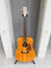 Ibanez AW-90DW　エレアコ_2