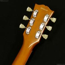 Edwards E-LP-STD/P [GOLD]_7