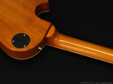 Edwards E-LP-STD/P [GOLD]_8