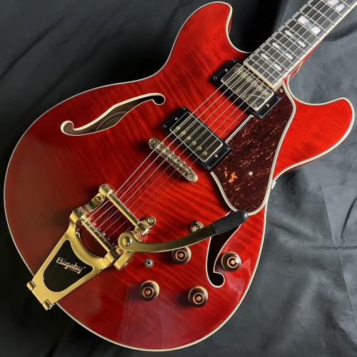 Ibanez AS113T-TCD