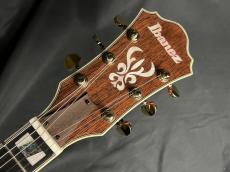 Ibanez AS113T-TCD_6