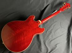 Ibanez AS113T-TCD_7