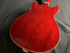Ibanez AS113T-TCD_8