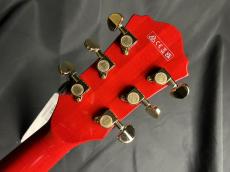 Ibanez AS113T-TCD_10