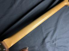 Vanzandt VanZandt PBV-R2/MH_9