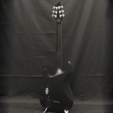 SCHECTER AD-DM-PTM Damien Platinum-6 SBK_3