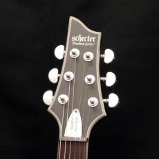 SCHECTER AD-DM-PTM Damien Platinum-6 SBK_6