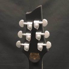 SCHECTER AD-DM-PTM Damien Platinum-6 SBK_7