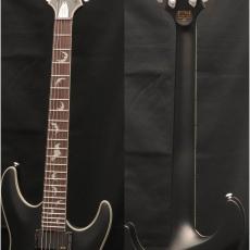 SCHECTER AD-DM-PTM Damien Platinum-6 SBK_8