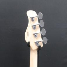 dragonfly CL-DJB4 ASH/MAP AC/MH BRG_8