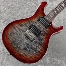 Paul Reed Smith [PRS] SE Custom 24 - CG ~Charcoal Cherry Burst~ #CTI H021083 [3.57kg][2025年製]