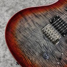 Paul Reed Smith [PRS] SE Custom 24 - CG ~Charcoal Cherry Burst~ #CTI H021083 [3.57kg][2025年製]_3