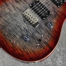 Paul Reed Smith [PRS] SE Custom 24 - CG ~Charcoal Cherry Burst~ #CTI H021083 [3.57kg][2025年製]_4