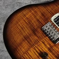 Paul Reed Smith [PRS] SE Custom 24 - BG ~Black Gold Sunburst~ #CTI I018563 [3.58kg][2026年製]_3
