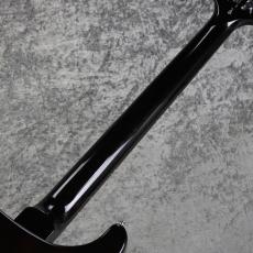 Paul Reed Smith [PRS] SE Custom 24 - BG ~Black Gold Sunburst~ #CTI I018563 [3.58kg][2026年製]_8