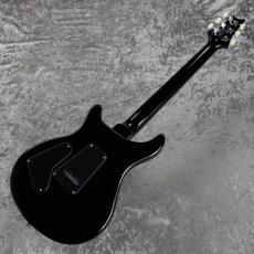 Paul Reed Smith [PRS] SE Custom 24 - SA ~Sapphire~ #CTI H077064 [3.32kg][2025年製]_11