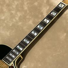 D'Angelico Excel Series Excel SS, Solid Black_6