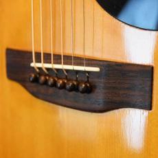 Gibson SJ Deluxe_8