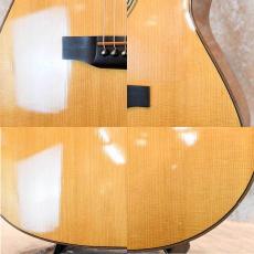 Larrivee L-05_5
