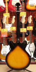 Epiphone DOT_6