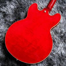 Tokai ES-201F SR (See Through Red) 【旧価格で!】【2026年製】【日本製】_9