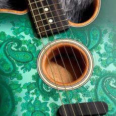 Fender Limited Edition American Acoustasonic Telecaster, Ebony Fingerboard, Green Paisley_4
