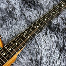 Fender Limited Edition American Acoustasonic Telecaster, Ebony Fingerboard, Green Paisley_5