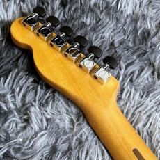Fender Limited Edition American Acoustasonic Telecaster, Ebony Fingerboard, Green Paisley_7