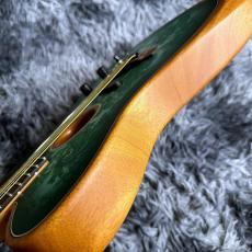 Fender Limited Edition American Acoustasonic Telecaster, Ebony Fingerboard, Green Paisley_9