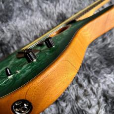 Fender Limited Edition American Acoustasonic Telecaster, Ebony Fingerboard, Green Paisley_10
