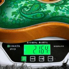 Fender Limited Edition American Acoustasonic Telecaster, Ebony Fingerboard, Green Paisley_11