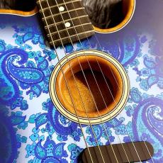Fender Limited Edition American Acoustasonic Telecaster, Ebony Fingerboard, Blue Paisley_4