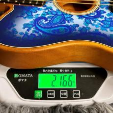 Fender Limited Edition American Acoustasonic Telecaster, Ebony Fingerboard, Blue Paisley_11
