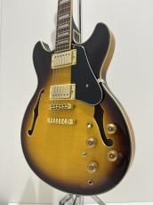 Ibanez JSM10EM / TTB(Two-tone Burst)