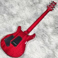 Paul Reed Smith [PRS] SE Custom24 Vintage Yellow【現物画像】10/9更新_7