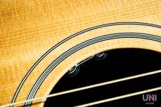 Gibson Hummingbird Studio / 2019_5