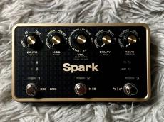 Positive Grid Spark PEDAL_2