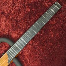 Frameworks Guitars Classical Guitar W/13pin Synth_3