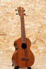 Kamaka HF-2 Kukui Concert_3