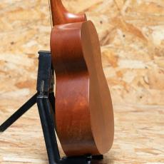Kamaka HF-2 Kukui Concert_5