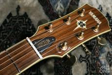 YAMAHA CPX900 BS 2008_3