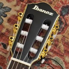 Ibanez TOD20FMN-BFL (Black Burst Fade Low Gloss)_6