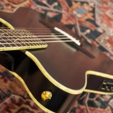 Ibanez TOD20FMN-BFL (Black Burst Fade Low Gloss)_7