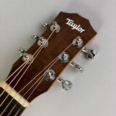 Taylor BT1_4